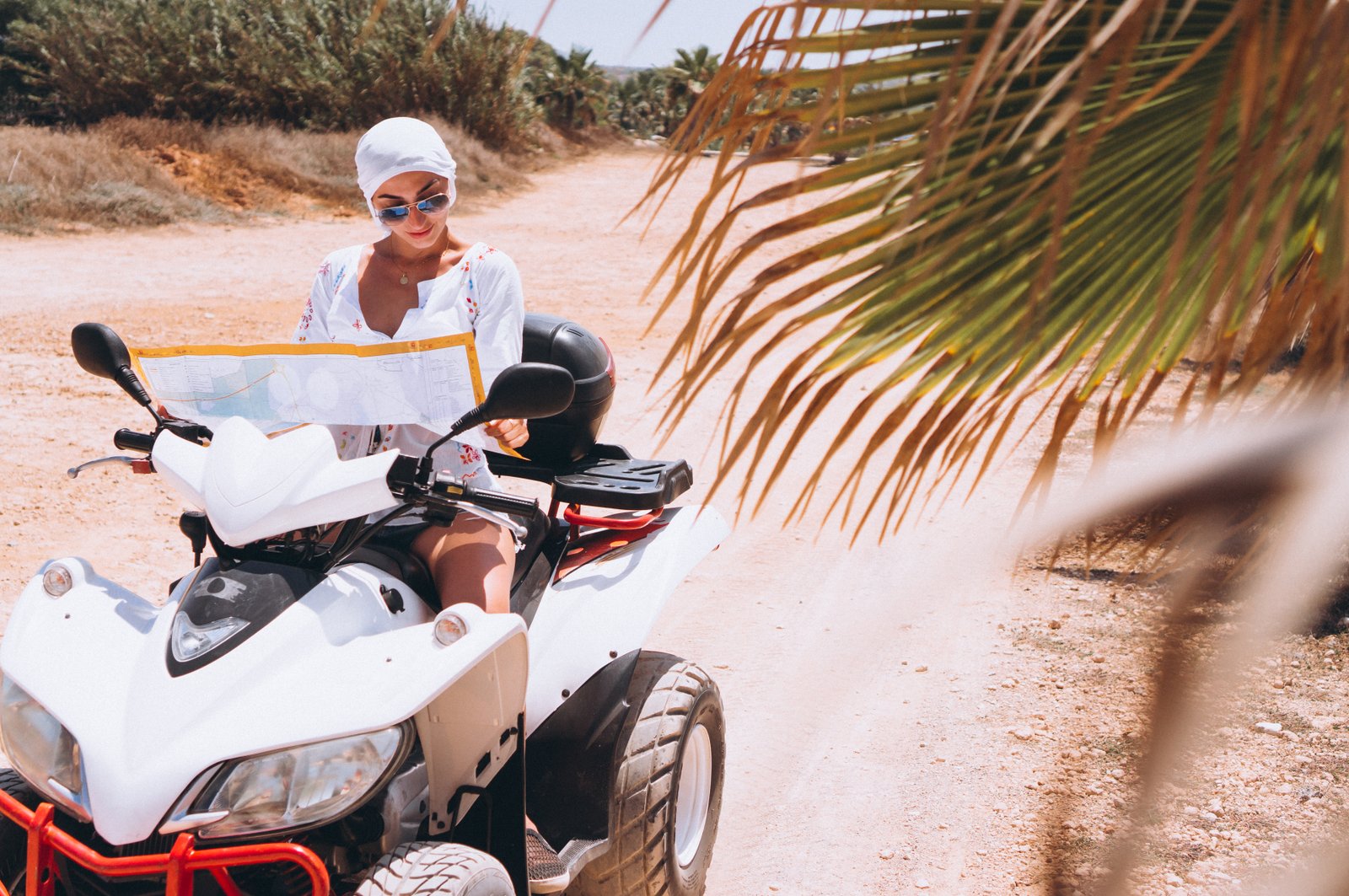 Buggy tours